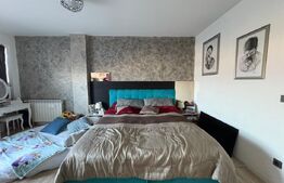 Penthouse modern, pet friendly, zona Augustin Presecan