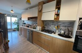 Penthouse modern, pet friendly, zona Augustin Presecan