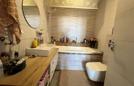 Penthouse modern, pet friendly, zona Augustin Presecan