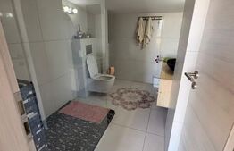 Penthouse modern, pet friendly, zona Augustin Presecan