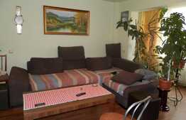 Vanzare apartament 2 camere, 51 mp, loc parcare, boxa, zona strazii Buna Ziua