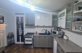 Casa individuala, 150mp, atelier, garaj, 645 mp de teren, zona Somesului