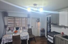 Casa individuala, 150mp, atelier, garaj, 645 mp de teren, zona Somesului