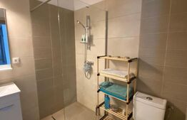 Apartament tip penthouse, cu 3 camere si 2 bai, terasa de 50 mp, zona Marasti