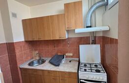 Garsoniera de vanzare, 32 mp, etaj intermediar, zona Big 