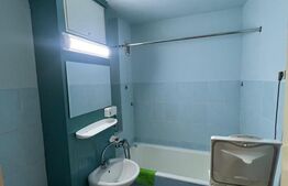 Garsoniera de vanzare, 32 mp, etaj intermediar, zona Big 