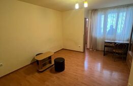 Garsoniera de vanzare, 32 mp, etaj intermediar, zona Big 