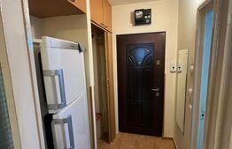 Garsoniera de vanzare, 32 mp, etaj intermediar, zona Big 