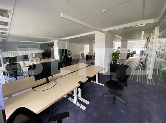 Spațiu birouri de închiriat Plopilor - 165119SIB | BLITZ Cluj-Napoca | Poza3