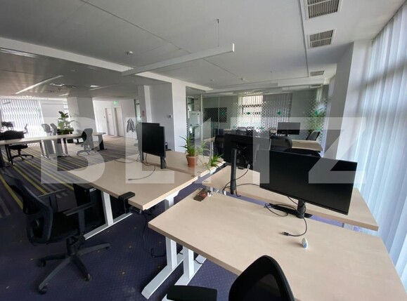 Spațiu birouri de închiriat Plopilor - 165119SIB | BLITZ Cluj-Napoca | Poza4