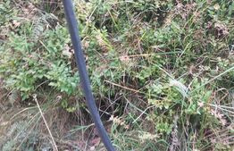 Oportunitate rară de a investi într-un teren in Fundata-Brasov