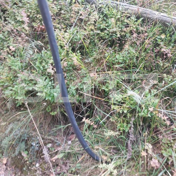 Teren de vânzare Fundata - 165126TV | BLITZ Brașov | Poza2