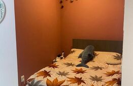 Apartament de vanzare, cu 1 camera, 37 mp, zona Manastur 