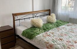 Casa 4 camere, 100 mp, pet friendly, parcare, zona Porii