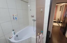 Apartament cu gradina, 55 mp+32mp , zona Pod Ira