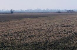 Teren extravilan de vânzare, 30.000 mp, cu potential de construire, Brasov