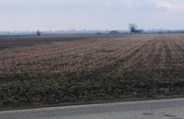 Teren extravilan de vânzare, 30.000 mp, cu potential de construire, Brasov