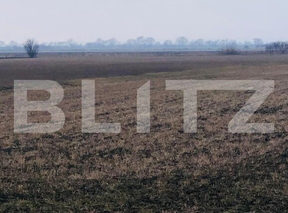 Teren de vânzare Nord - 165325TV | BLITZ Brașov | Poza5