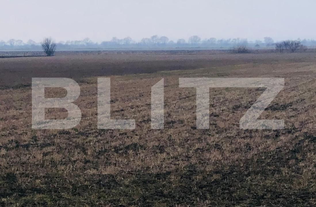 Teren de vânzare Nord - 165325TV | BLITZ Brașov | Poza5