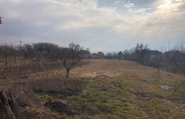 Casa de vanzare, cu 7 camere, 350 mp u & 2850 mp teren