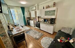 Apartament 1/2 camere, 32mp, parcare, etaj intermediar, zona Eroilor