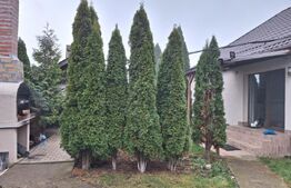 Casă modernă pe parter, eficientă energetic, 3 dormitoare, teren 510 mp