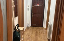 Garsoniera tip studio, 40 mp, mobilata, utilata zona buna