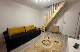Apartament 1 camera 37mp+mansarda 30mp - Sanpetru, Brasov