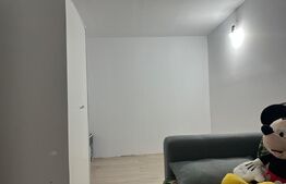 Apartament 1 camera 37mp+mansarda 30mp - Sanpetru, Brasov