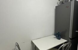 Apartament 1 camera 37mp+mansarda 30mp - Sanpetru, Brasov