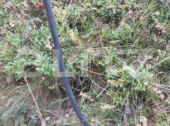 Teren de vânzare Fundata - 165460TV | BLITZ Brașov | Poza2