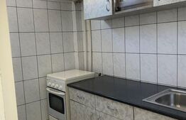 Garsoniera de vanzare, 32 mp, zona Big