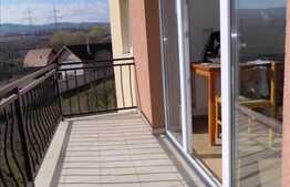 1 camera, 38 mp, imobil nou, recent zugravit, zona Calea Turzii