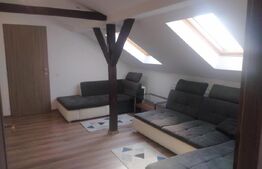 Casă cu 4 camere, 119 mp utili, 660 mp teren, zona Dâmbul Rotund