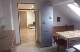 Casă cu 4 camere, 119 mp utili, 660 mp teren, zona Dâmbul Rotund