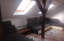 Casă cu 4 camere, 119 mp utili, 660 mp teren, zona Dâmbul Rotund