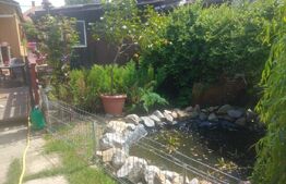 Casă cu 4 camere, 119 mp utili, 660 mp teren, zona Dâmbul Rotund