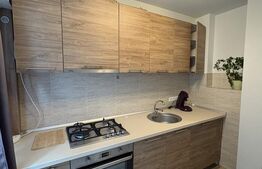 Apartament 2 camere, 50 mp, recent renovat, zona Grigorescu