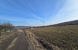 Teren extravilan de vanzare, 1.113 mp, zona-Valea Chintaului