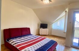 Duplex  3 camere,  recent renovat, parcare, 110 mp, 2 min de Iulius Mall