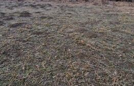 Teren intravilan de vanzare, 867 mp, 30 ml deschidere, regim P+2, zona Stupini