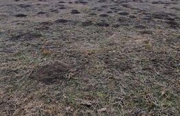 Teren intravilan de vanzare, 867 mp, 30 ml deschidere, regim P+2, zona Stupini