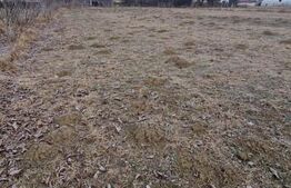 Teren intravilan de vanzare, 867 mp, 30 ml deschidere, regim P+2, zona Stupini