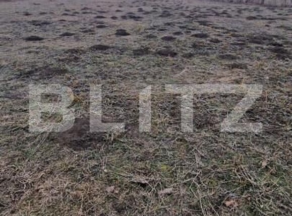 Teren de vânzare Stupini - 165654TV | BLITZ Brașov | Poza11