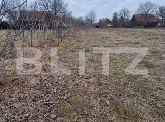Teren de vânzare Stupini - 165654TV | BLITZ Brașov | Poza7