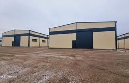 Hală industrială Nouă de închiriat – 5€/mp