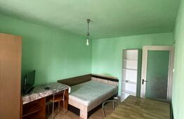 Garsoniera de inchiriat, 25 mp, zona Manastur