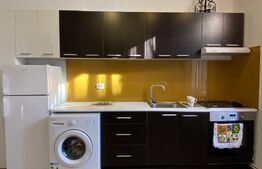 Garsoniera tip studio, 20 mp, zona strazii Paris