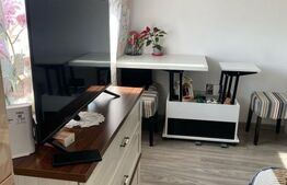 Garsoniera de vanzare, 21 mp, etaj intermediar, zona Calea Baciului