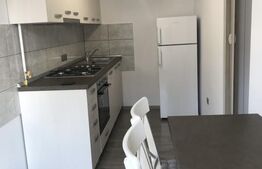 Casa individuala cu gradina, parcare, zona Grigorescu